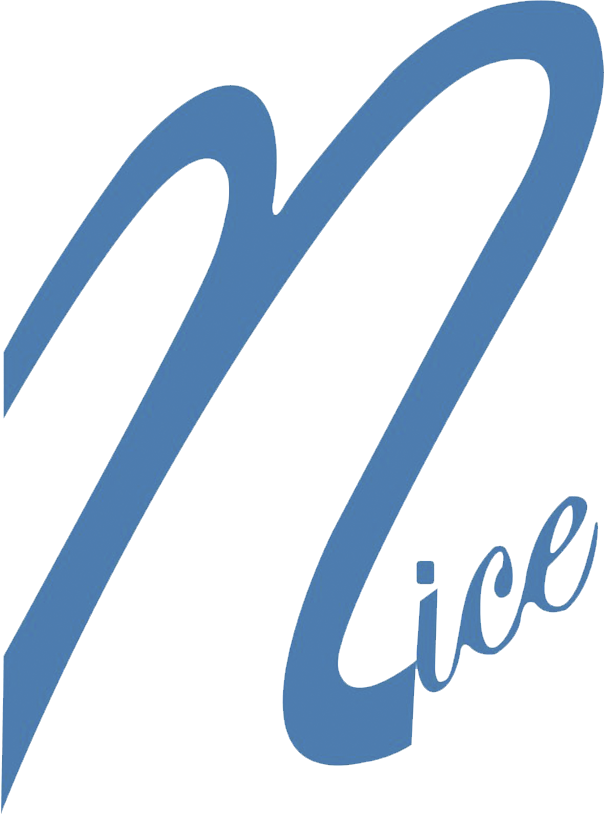 Logo Organizações Nice